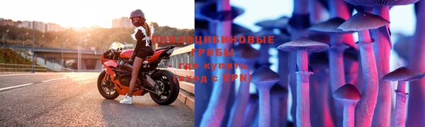 прущая мука Мегион