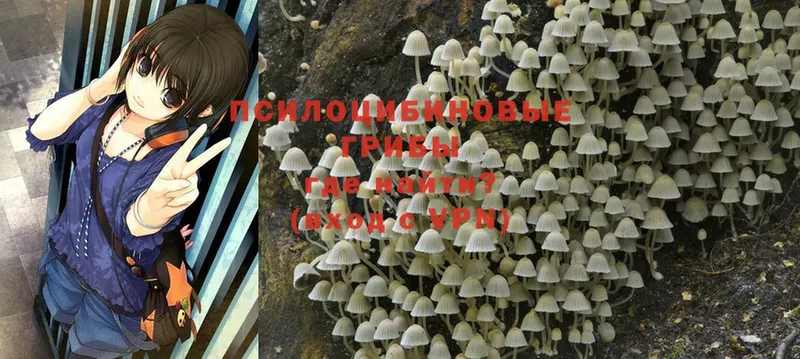 Псилоцибиновые грибы Magic Shrooms  купить наркотики сайты  Уяр 