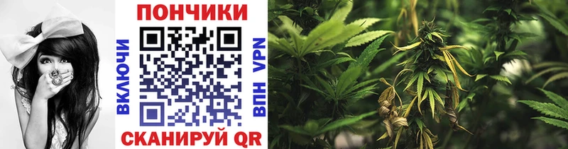 Бошки Шишки конопля  Уяр 